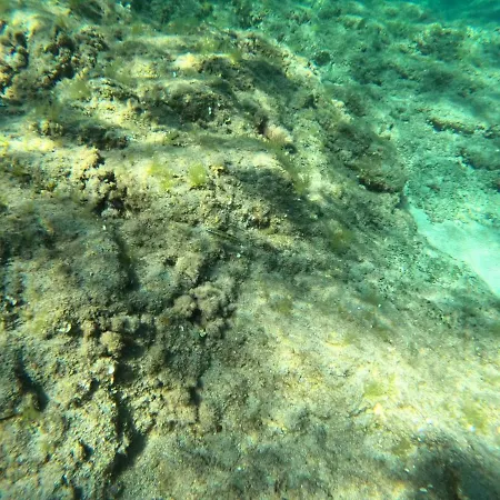 Melisenda Tertenia