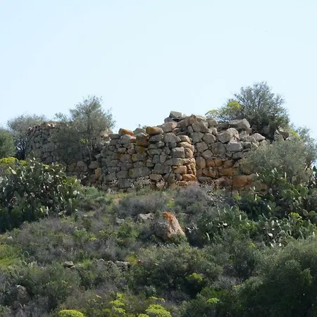 Melisenda Tertenia